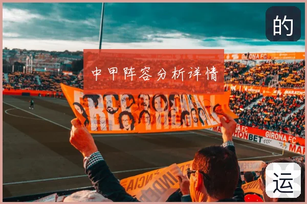 中甲阵容分析详情